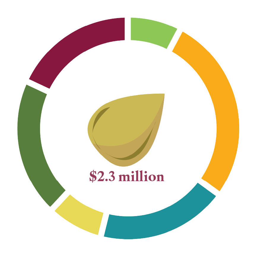 CHS operational budget pie chart
